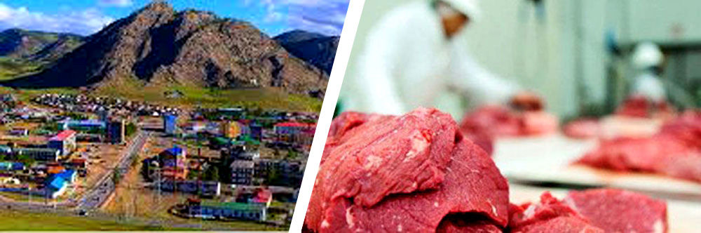 МАЛЫН МАХ БЭЛТГЭН ХУДАЛДААЛДАГ ИРГЭД, АЖ АХУЙН НЭГЖҮҮДИЙН  АГУУЛАХ, ЗООРИНД ШАЛГАЛТ ХИЙЖЭЭ